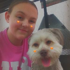 Meet your Posher, Kinsey